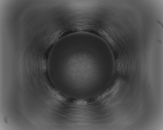 X0000092040471200709121157