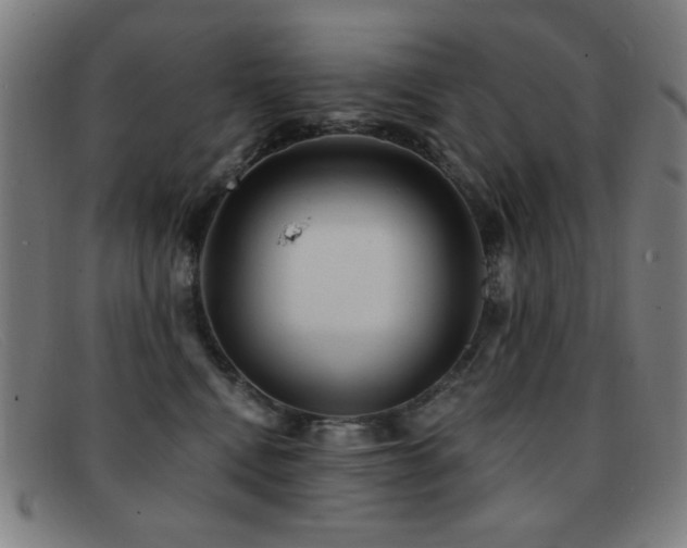 X0000092040472200709121157