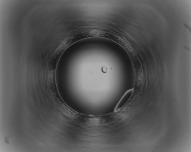 X0000092040473200709121157