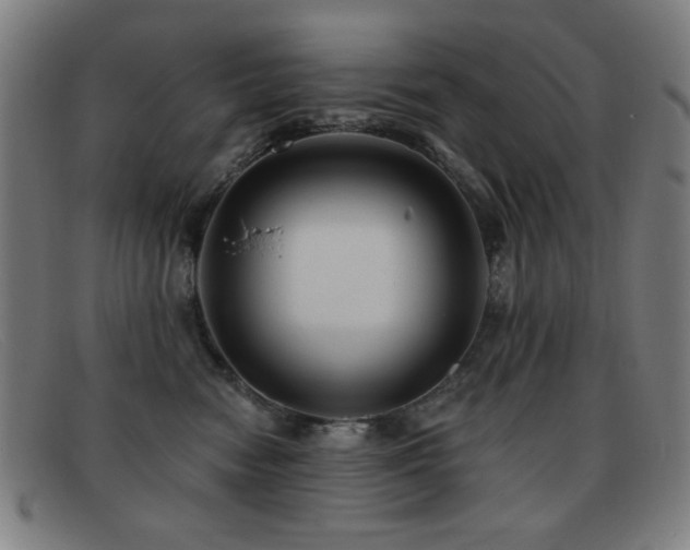 X0000092040474200709121157