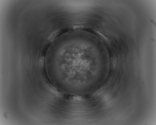 X0000092040475200709121157