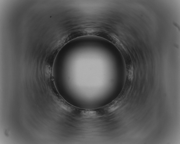 X0000092040476200709121157