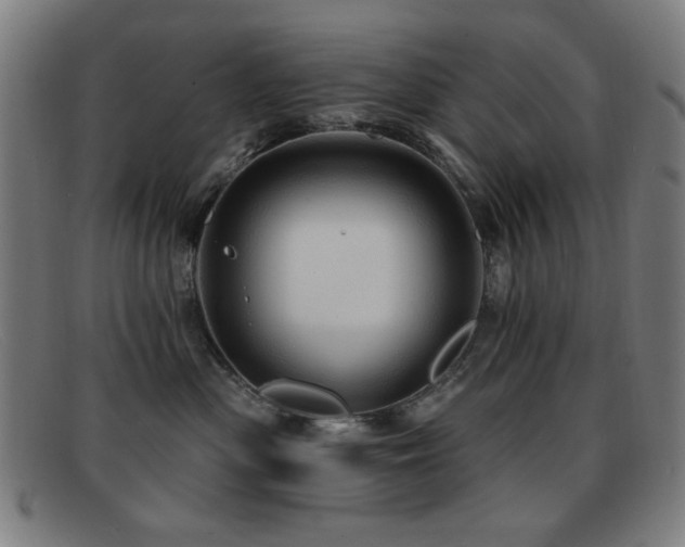 X0000092040477200709121157