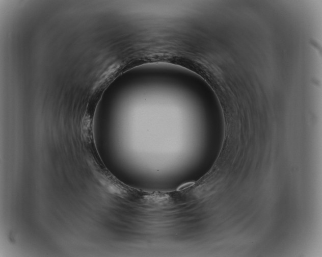 X0000092040480200709121157