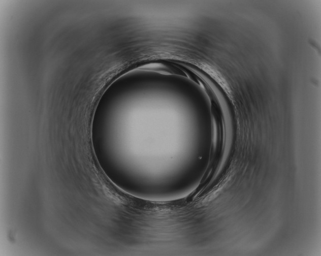 X0000092040481200709121156