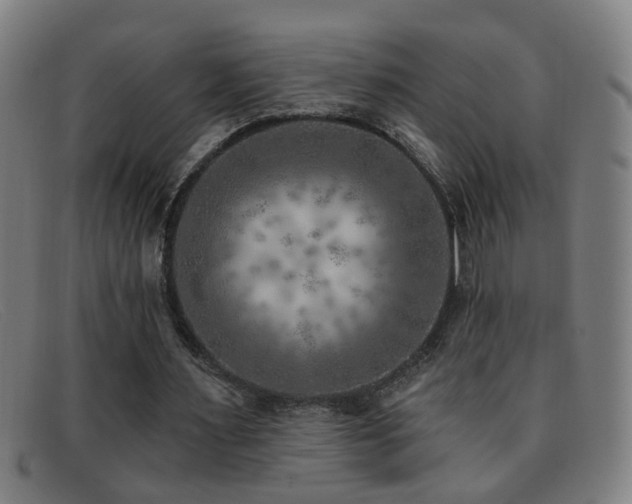 X0000092040483200709121156