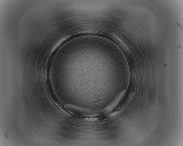 X0000092040484200709121156