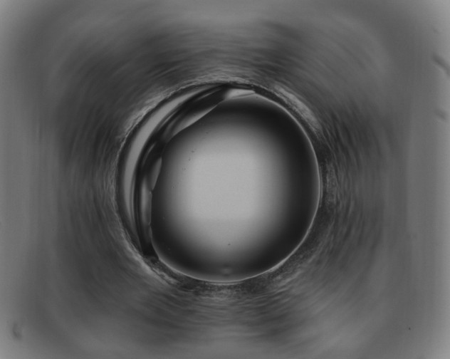 X0000092040485200709121156