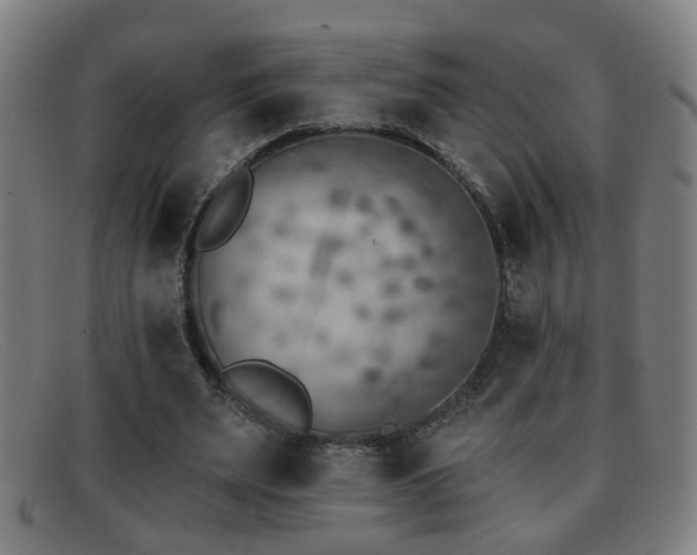 X0000092040487200709121156