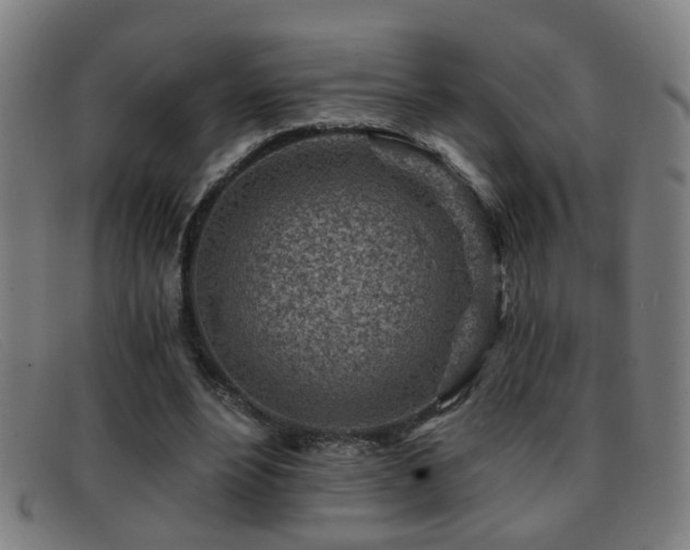 X0000092040488200709121156