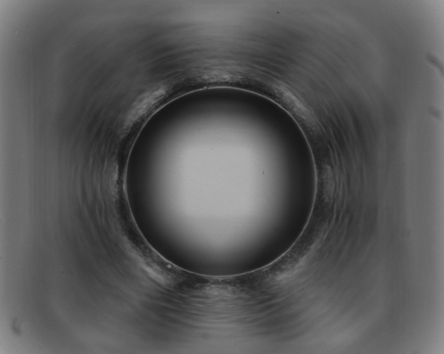 X0000092040490200709121156