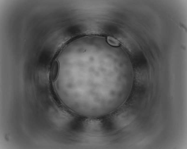 X0000092040491200709121156