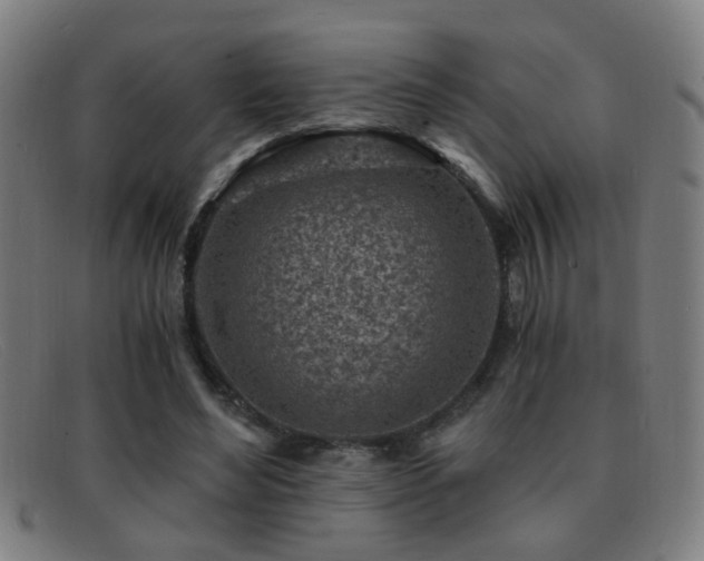 X0000092040492200709121156