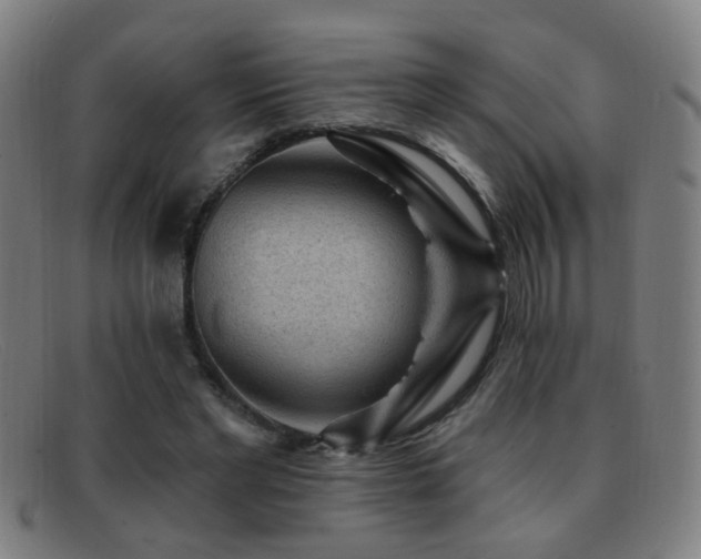 X0000092040493200709121156