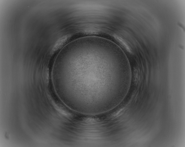 X0000092040494200709121156