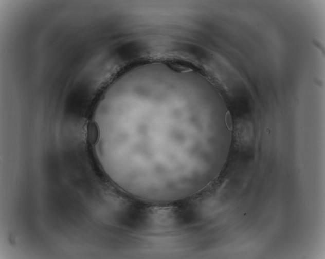 X0000092040495200709121156