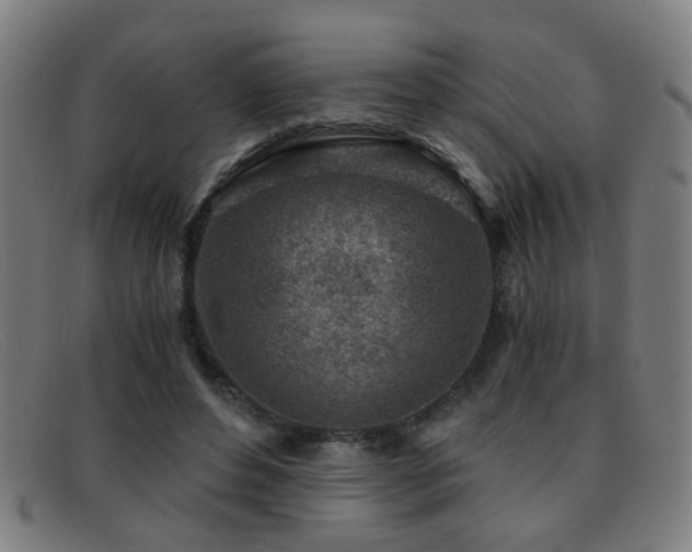 X0000092040496200709121156