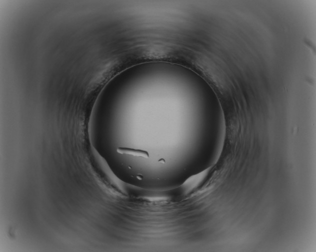 X0000092040497200709121156