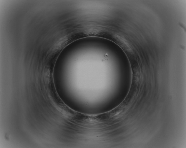 X0000092040498200709121156