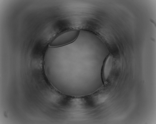 X0000092040499200709121156