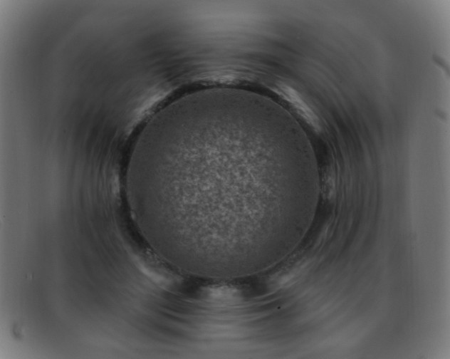 X0000092040500200709121156