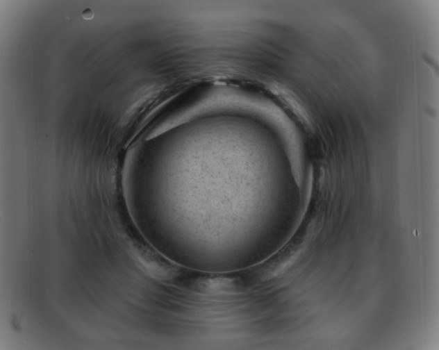 X0000092040501200709121156