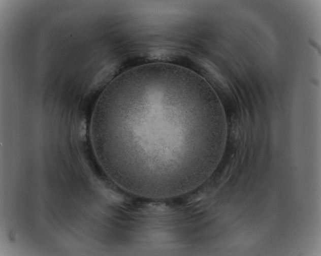 X0000092040502200709121156