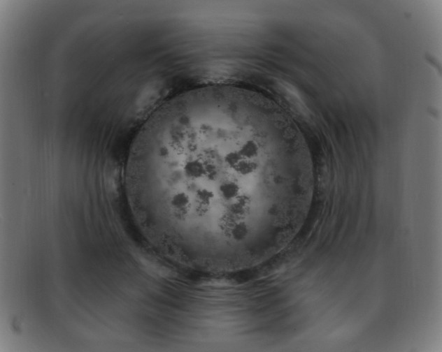 X0000092040503200709121156