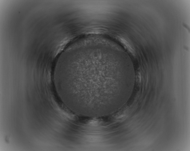 X0000092040504200709121156