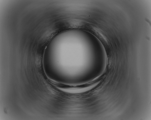 X0000092040505200709121156