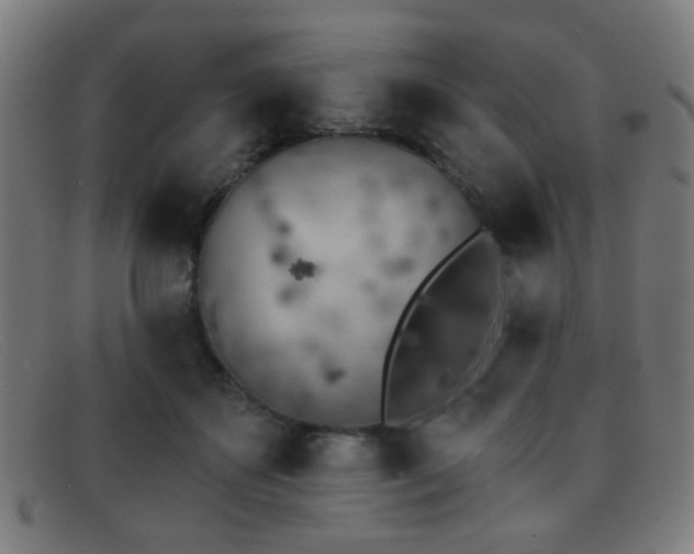 X0000092040507200709121156