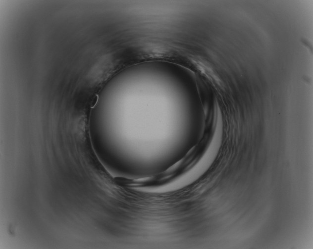 X0000092040509200709121156