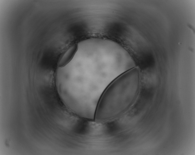 X0000092040511200709121156