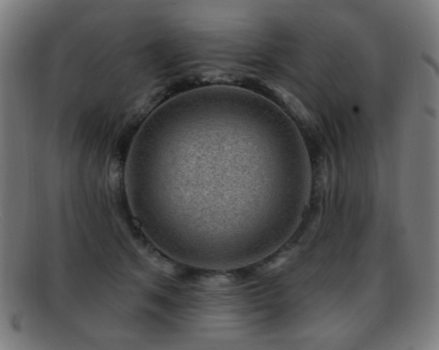 X0000092040513200709121156