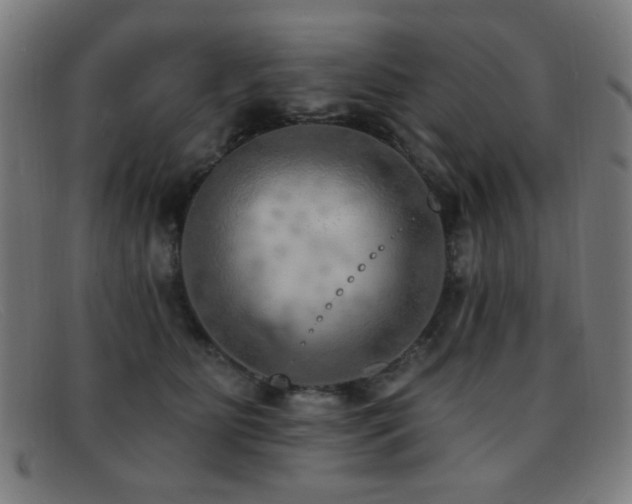 X0000092040515200709121156