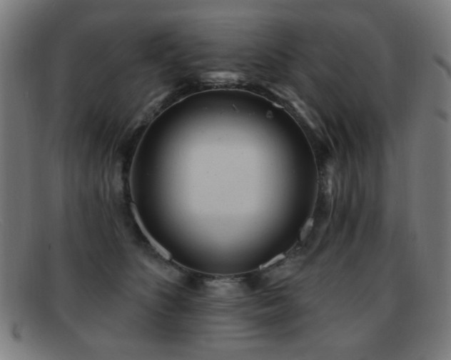 X0000092040516200709121156