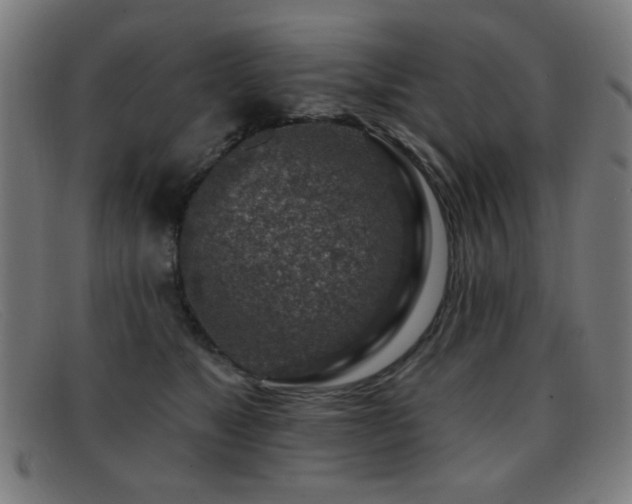 X0000092040517200709121156