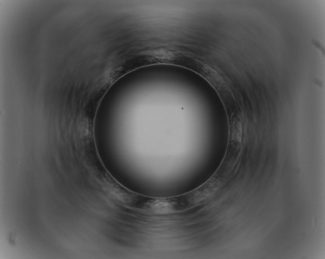 X0000092040518200709121156