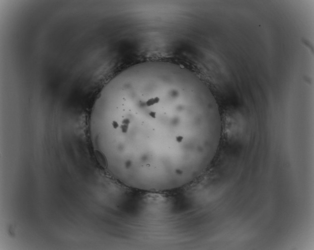 X0000092040519200709121156