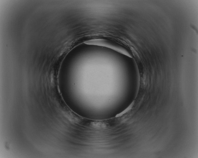 X0000092040520200709121156