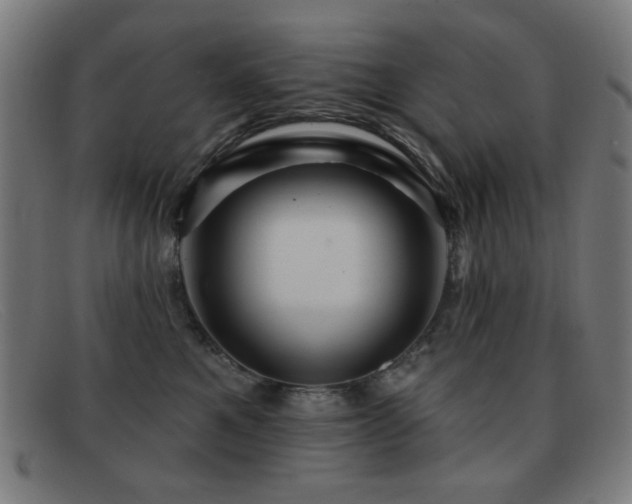 X0000092040521200709121156