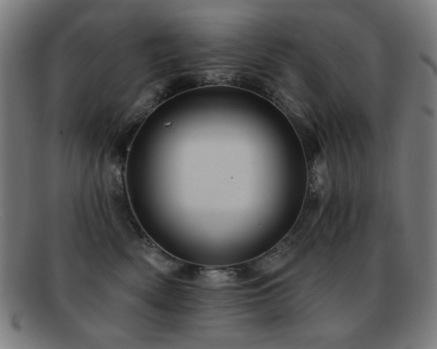 X0000092040522200709121156