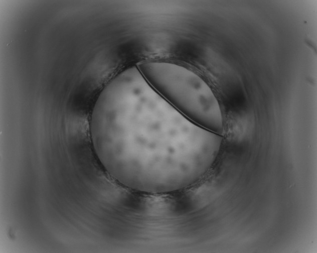 X0000092040523200709121156