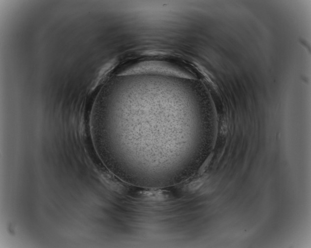 X0000092040524200709121156