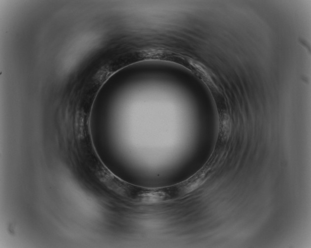 X0000092040525200709121156