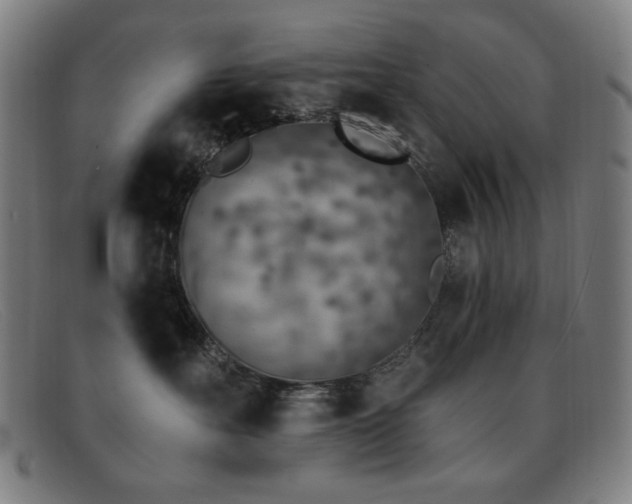 X0000092040527200709121156