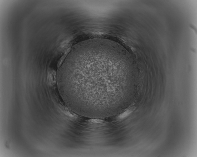 X0000092040528200709121155