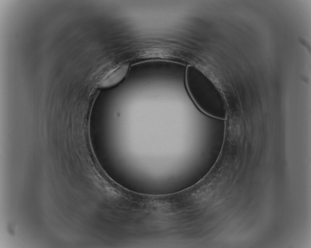 X0000092040529200709121155