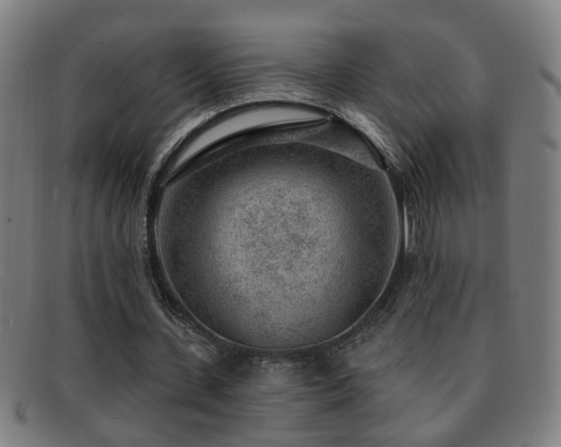 X0000092040531200709121155