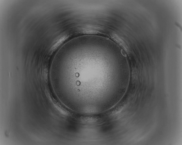 X0000092040533200709121155